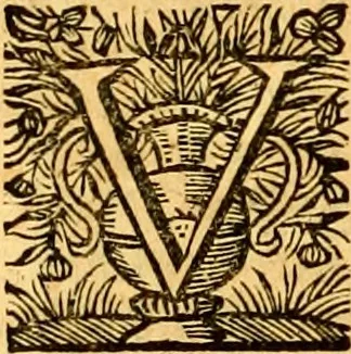 An illustration from Cl. viri Petri Peckii Ziricæi olim in academia lovaniensi iuris professoris, in magno senatu belgico consiliarii : Opera omnia, 1666, leaf 737