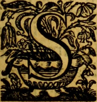 An illustration from Cl. viri Petri Peckii Ziricæi olim in academia lovaniensi iuris professoris, in magno senatu belgico consiliarii : Opera omnia, 1666, leaf 8