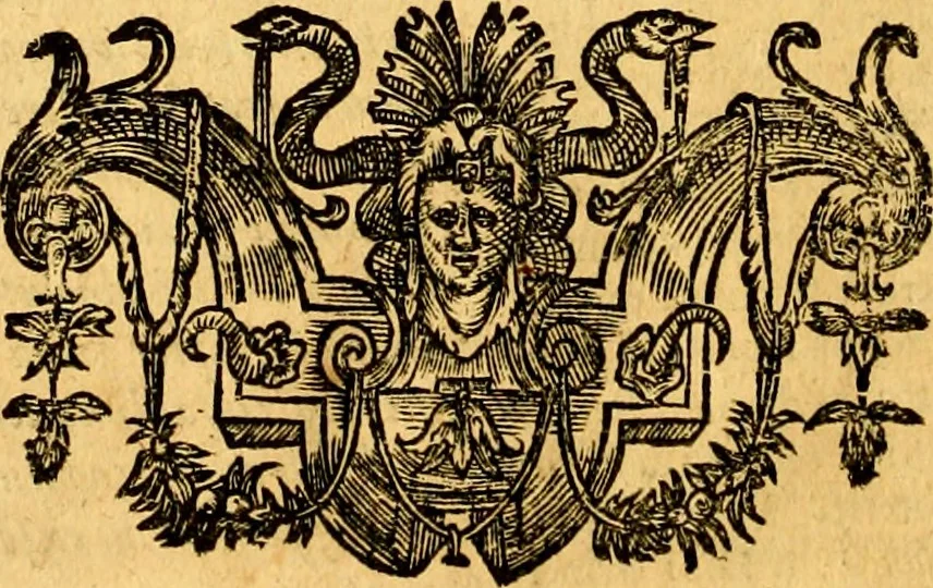 An illustration from Cl. viri Petri Peckii Ziricæi olim in academia lovaniensi iuris professoris, in magno senatu belgico consiliarii : Opera omnia, 1666, leaf 913