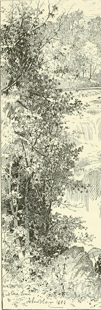An illustration from The Clyde from its source to the sea, its development as a navigable river, the rise and progress of marine engineering and shipbuilding on its banks, and the leading historical, geological, and meteorological features of the Clyde Valley, 1888, leaf 21