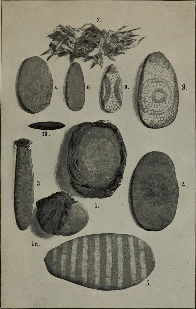 An illustration from The Clyde mystery : a study in forgeries and folklore, 1905, leaf 108