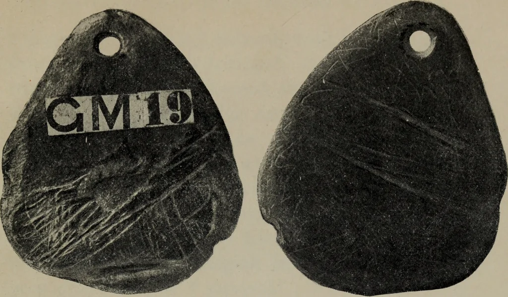 An illustration from The Clyde mystery : a study in forgeries and folklore, 1905, leaf 118