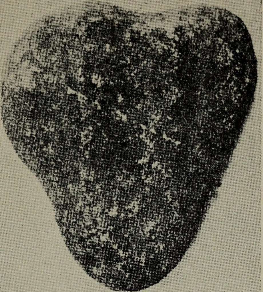 An illustration from The Clyde mystery : a study in forgeries and folklore, 1905, leaf 168