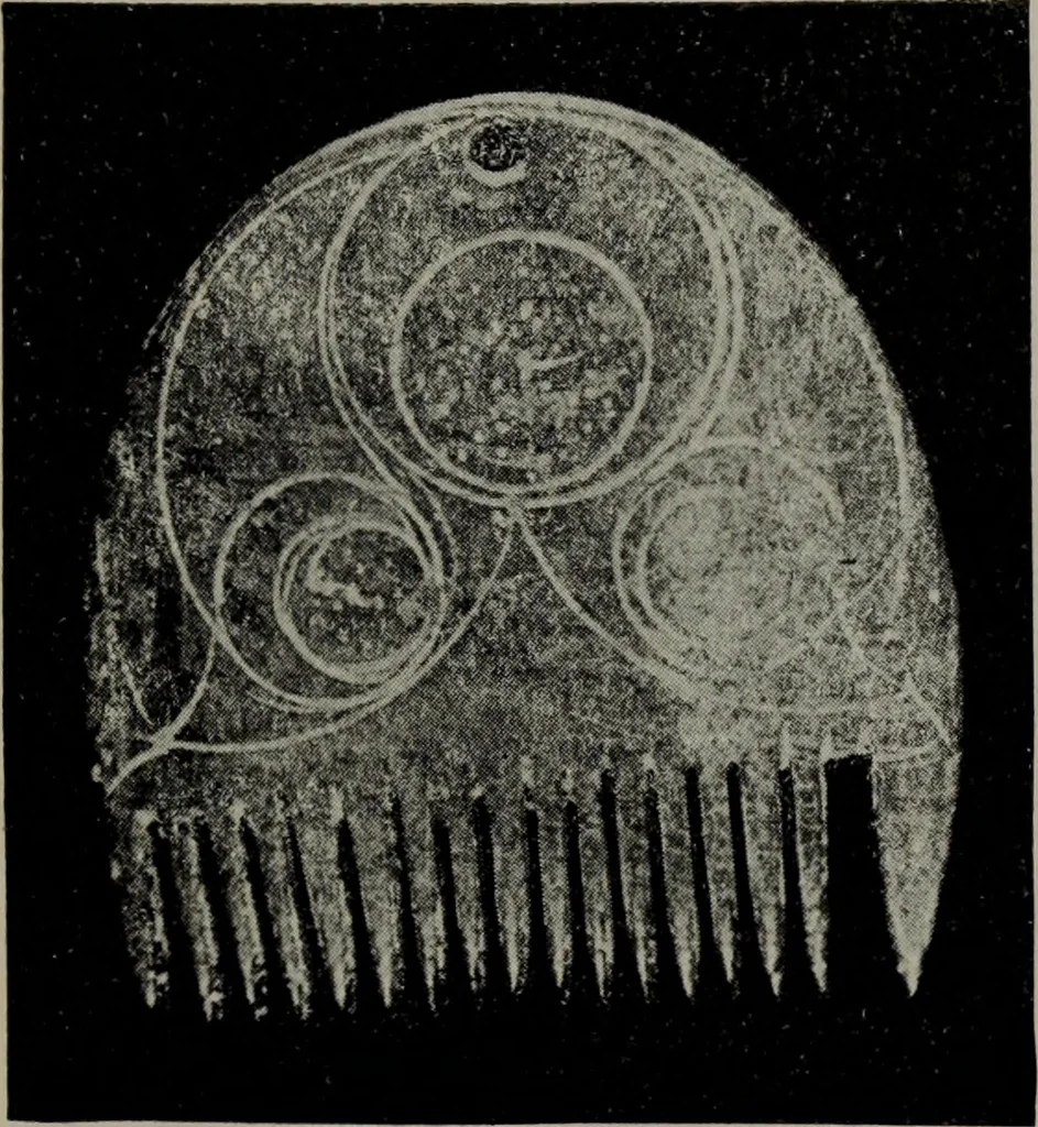 An illustration from The Clyde mystery : a study in forgeries and folklore, 1905, leaf 56
