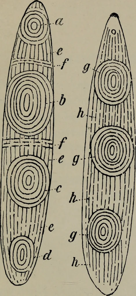 An illustration from The Clyde mystery : a study in forgeries and folklore, 1905, leaf 98