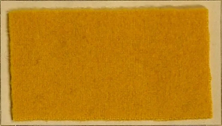 An illustration from The coal tar colours of Farbwerke vorm. Meister, Lucius & Brüning, Hoechst on Main, Germany, and their application in wool dyeing, 1910, leaf 144