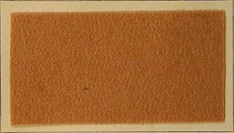 An illustration from The coal tar colours of Farbwerke vorm. Meister, Lucius & Brüning, Hoechst on Main, Germany, and their application in wool dyeing, 1910, leaf 151