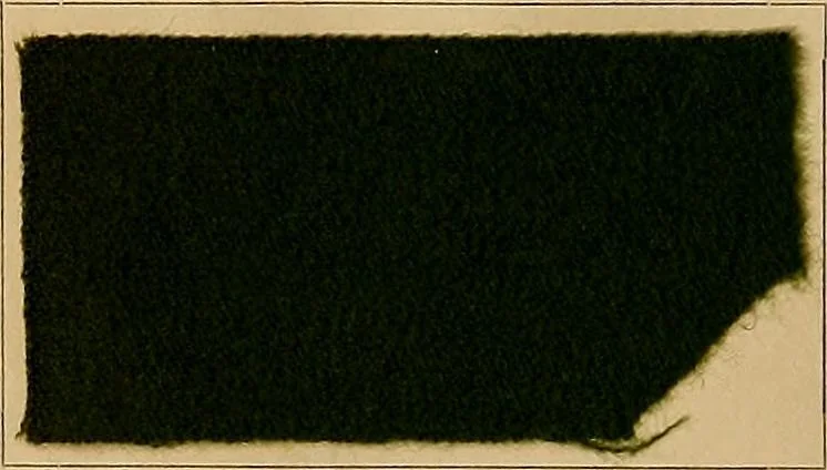 An illustration from The coal tar colours of Farbwerke vorm. Meister, Lucius & Brüning, Hoechst on Main, Germany, and their application in wool dyeing, 1910, leaf 151
