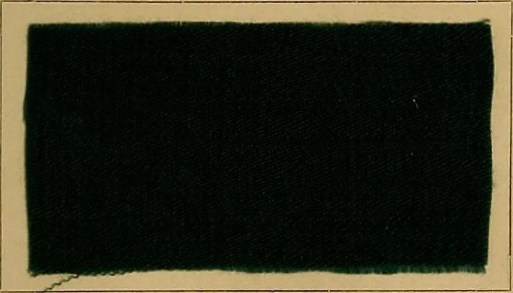 An illustration from The coal tar colours of Farbwerke vorm. Meister, Lucius & Brüning, Hoechst on Main, Germany, and their application in wool dyeing, 1910, leaf 154