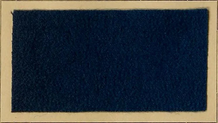 An illustration from The coal tar colours of Farbwerke vorm. Meister, Lucius & Brüning, Hoechst on Main, Germany, and their application in wool dyeing, 1910, leaf 155