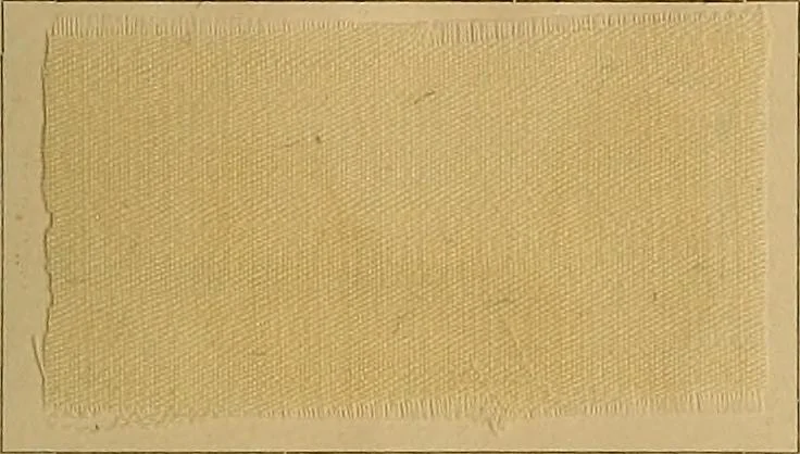 An illustration from The coal tar colours of Farbwerke vorm. Meister, Lucius & Brüning, Hoechst on Main, Germany, and their application in wool dyeing, 1910, leaf 156