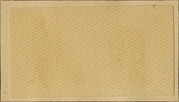 An illustration from The coal tar colours of Farbwerke vorm. Meister, Lucius & Brüning, Hoechst on Main, Germany, and their application in wool dyeing, 1910, leaf 157