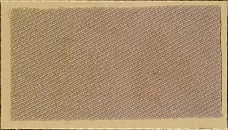 An illustration from The coal tar colours of Farbwerke vorm. Meister, Lucius & Brüning, Hoechst on Main, Germany, and their application in wool dyeing, 1910, leaf 157