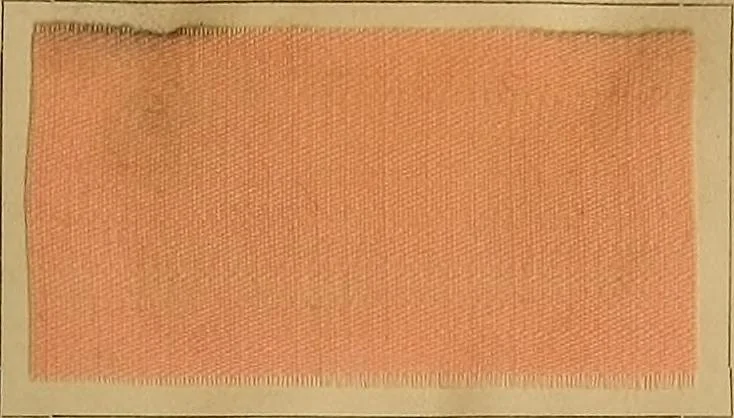 An illustration from The coal tar colours of Farbwerke vorm. Meister, Lucius & Brüning, Hoechst on Main, Germany, and their application in wool dyeing, 1910, leaf 158