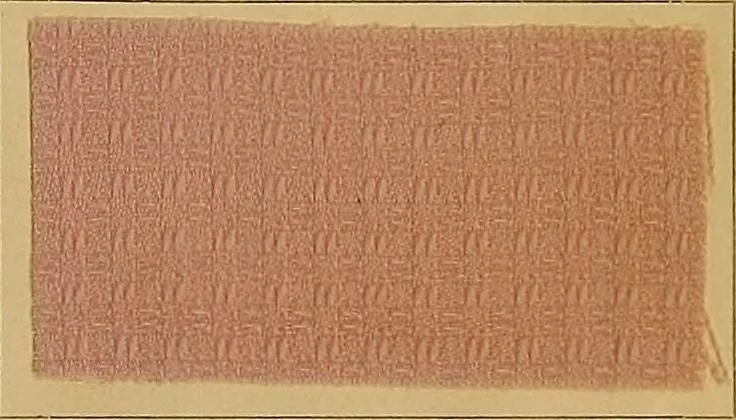 An illustration from The coal tar colours of Farbwerke vorm. Meister, Lucius & Brüning, Hoechst on Main, Germany, and their application in wool dyeing, 1910, leaf 158