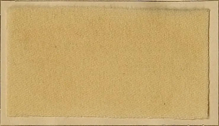 An illustration from The coal tar colours of Farbwerke vorm. Meister, Lucius & Brüning, Hoechst on Main, Germany, and their application in wool dyeing, 1910, leaf 159