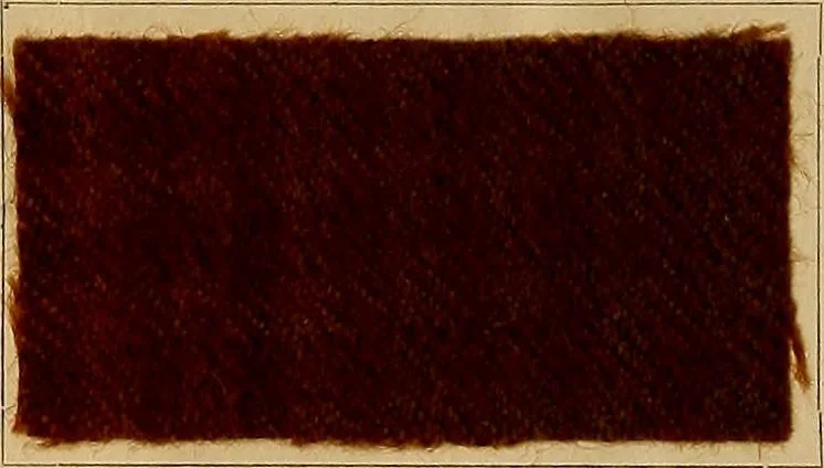 An illustration from The coal tar colours of Farbwerke vorm. Meister, Lucius & Brüning, Hoechst on Main, Germany, and their application in wool dyeing, 1910, leaf 161