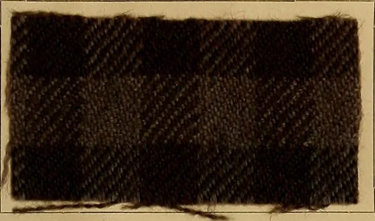 An illustration from The coal tar colours of Farbwerke vorm. Meister, Lucius & Brüning, Hoechst on Main, Germany, and their application in wool dyeing, 1910, leaf 162
