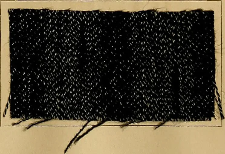 An illustration from The coal tar colours of Farbwerke vorm. Meister, Lucius & Brüning, Hoechst on Main, Germany, and their application in wool dyeing, 1910, leaf 162
