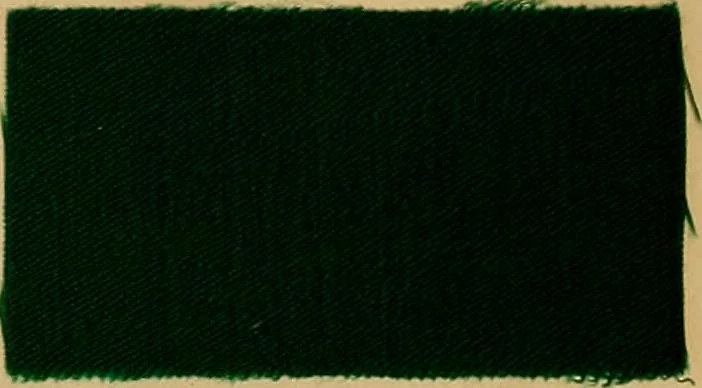 An illustration from The coal tar colours of Farbwerke vorm. Meister, Lucius & Brüning, Hoechst on Main, Germany, and their application in wool dyeing, 1910, leaf 168