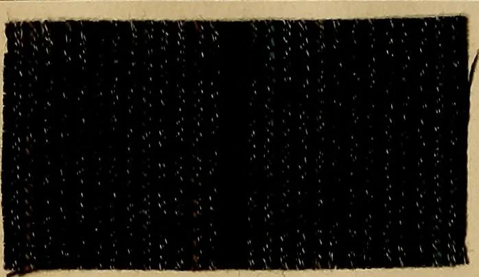 An illustration from The coal tar colours of Farbwerke vorm. Meister, Lucius & Brüning, Hoechst on Main, Germany, and their application in wool dyeing, 1910, leaf 169