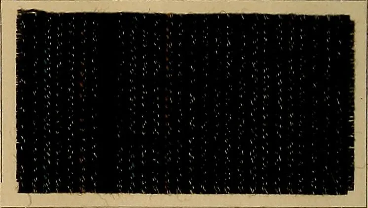 An illustration from The coal tar colours of Farbwerke vorm. Meister, Lucius & Brüning, Hoechst on Main, Germany, and their application in wool dyeing, 1910, leaf 169