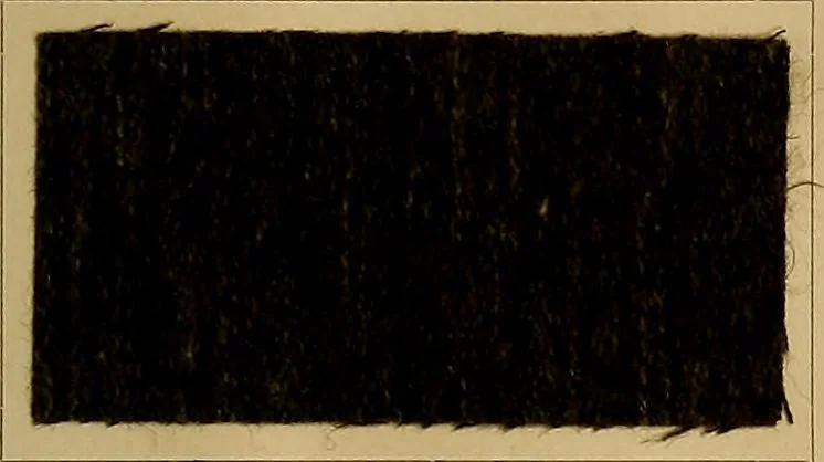 An illustration from The coal tar colours of Farbwerke vorm. Meister, Lucius & Brüning, Hoechst on Main, Germany, and their application in wool dyeing, 1910, leaf 170