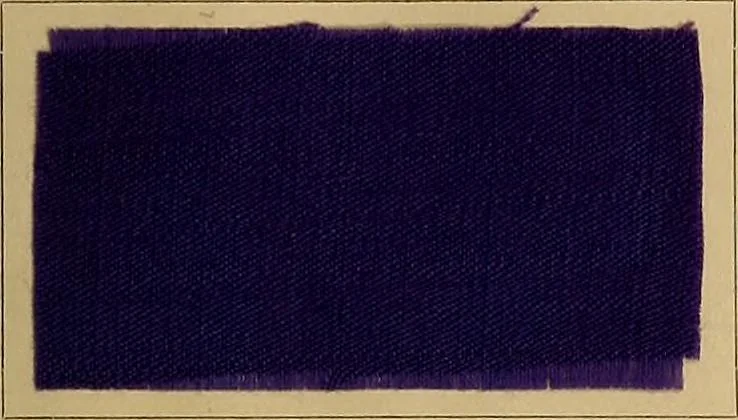 An illustration from The coal tar colours of Farbwerke vorm. Meister, Lucius & Brüning, Hoechst on Main, Germany, and their application in wool dyeing, 1910, leaf 172