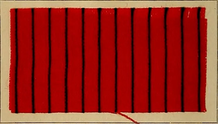 An illustration from The coal tar colours of Farbwerke vorm. Meister, Lucius & Brüning, Hoechst on Main, Germany, and their application in wool dyeing, 1910, leaf 173