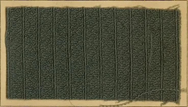 An illustration from The coal tar colours of Farbwerke vorm. Meister, Lucius & Brüning, Hoechst on Main, Germany, and their application in wool dyeing, 1910, leaf 174