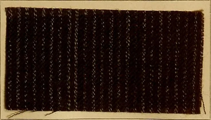 An illustration from The coal tar colours of Farbwerke vorm. Meister, Lucius & Brüning, Hoechst on Main, Germany, and their application in wool dyeing, 1910, leaf 174