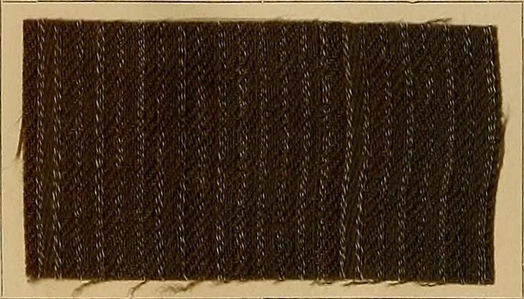 An illustration from The coal tar colours of Farbwerke vorm. Meister, Lucius & Brüning, Hoechst on Main, Germany, and their application in wool dyeing, 1910, leaf 175