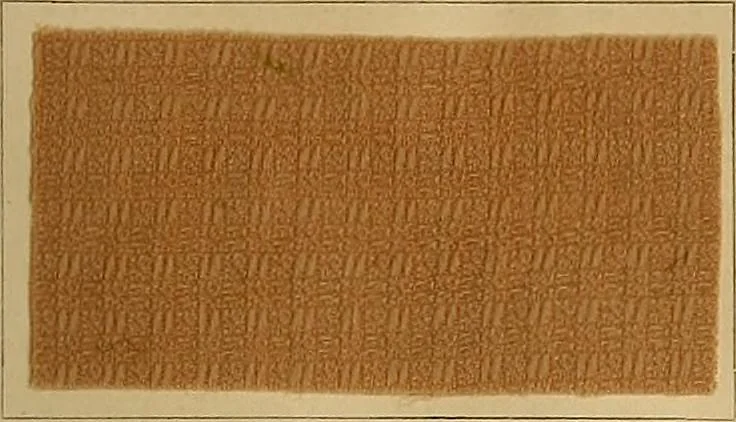 An illustration from The coal tar colours of Farbwerke vorm. Meister, Lucius & Brüning, Hoechst on Main, Germany, and their application in wool dyeing, 1910, leaf 176