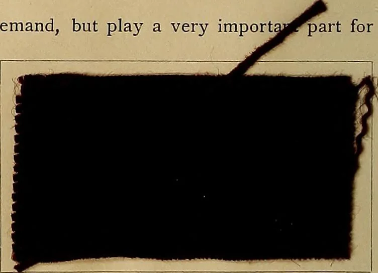 An illustration from The coal tar colours of Farbwerke vorm. Meister, Lucius & Brüning, Hoechst on Main, Germany, and their application in wool dyeing, 1910, leaf 179