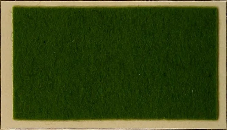 An illustration from The coal tar colours of Farbwerke vorm. Meister, Lucius & Brüning, Hoechst on Main, Germany, and their application in wool dyeing, 1910, leaf 183