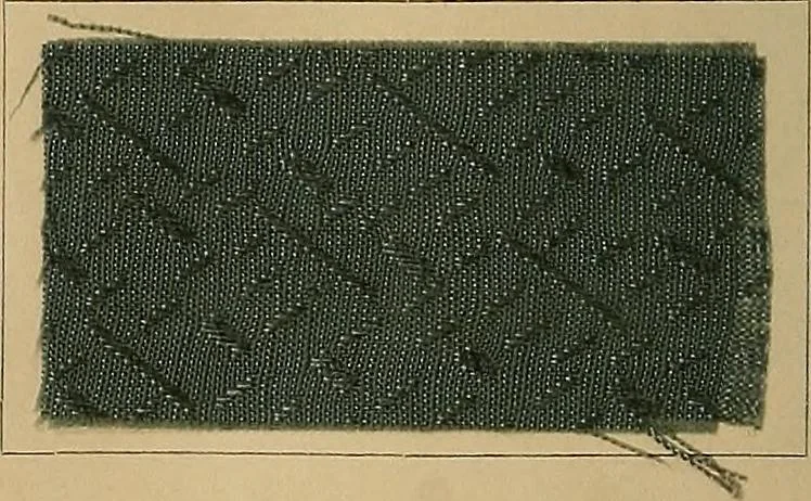 An illustration from The coal tar colours of Farbwerke vorm. Meister, Lucius & Brüning, Hoechst on Main, Germany, and their application in wool dyeing, 1910, leaf 189