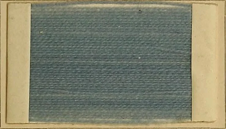 An illustration from The coal tar colours of Farbwerke vorm. Meister, Lucius & Brüning, Hoechst on Main, Germany, and their application in wool dyeing, 1910, leaf 22