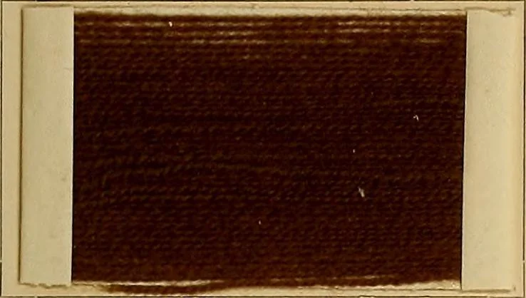 An illustration from The coal tar colours of Farbwerke vorm. Meister, Lucius & Brüning, Hoechst on Main, Germany, and their application in wool dyeing, 1910, leaf 24