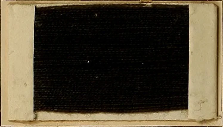 An illustration from The coal tar colours of Farbwerke vorm. Meister, Lucius & Brüning, Hoechst on Main, Germany, and their application in wool dyeing, 1910, leaf 25