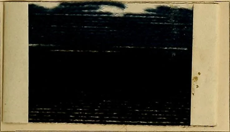 An illustration from The coal tar colours of Farbwerke vorm. Meister, Lucius & Brüning, Hoechst on Main, Germany, and their application in wool dyeing, 1910, leaf 26