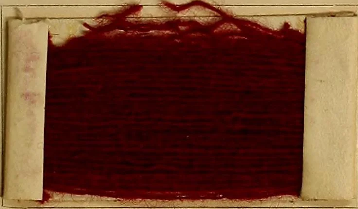 An illustration from The coal tar colours of Farbwerke vorm. Meister, Lucius & Brüning, Hoechst on Main, Germany, and their application in wool dyeing, 1910, leaf 36