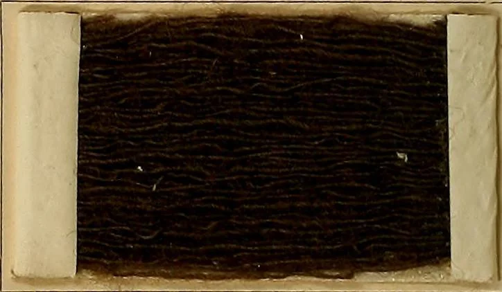 An illustration from The coal tar colours of Farbwerke vorm. Meister, Lucius & Brüning, Hoechst on Main, Germany, and their application in wool dyeing, 1910, leaf 39