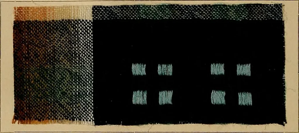 An illustration from The coal tar colours of Farbwerke vorm. Meister, Lucius & Brüning, Hoechst on Main, Germany, and their application in wool dyeing, 1910, leaf 43