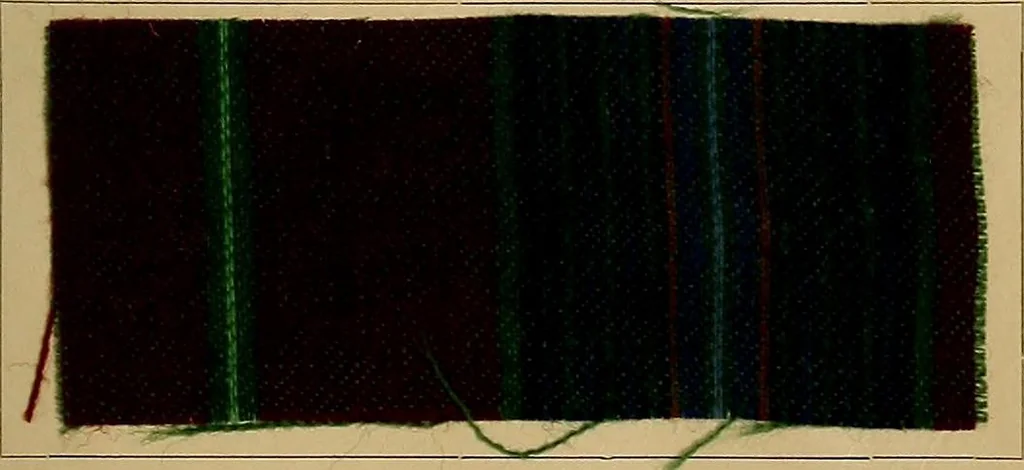 An illustration from The coal tar colours of Farbwerke vorm. Meister, Lucius & Brüning, Hoechst on Main, Germany, and their application in wool dyeing, 1910, leaf 46