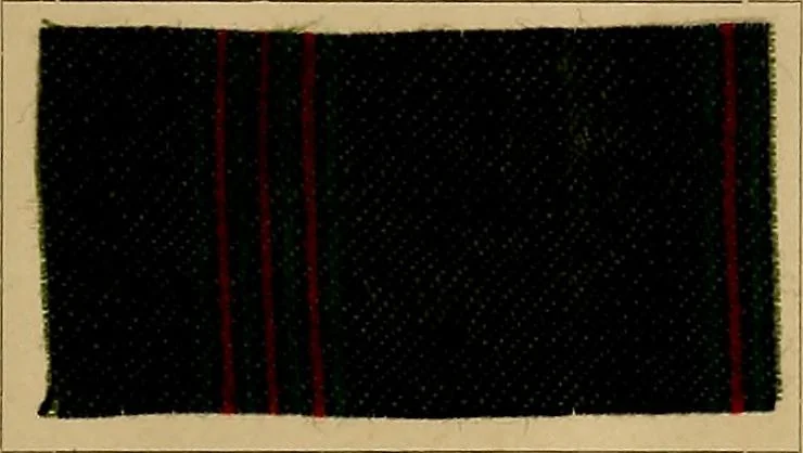 An illustration from The coal tar colours of Farbwerke vorm. Meister, Lucius & Brüning, Hoechst on Main, Germany, and their application in wool dyeing, 1910, leaf 52