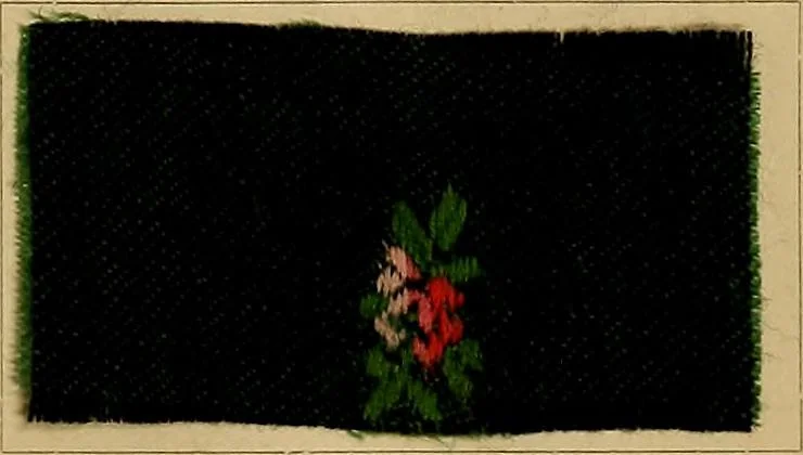 An illustration from The coal tar colours of Farbwerke vorm. Meister, Lucius & Brüning, Hoechst on Main, Germany, and their application in wool dyeing, 1910, leaf 52