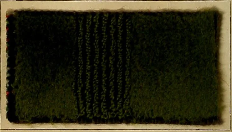 An illustration from The coal tar colours of Farbwerke vorm. Meister, Lucius & Brüning, Hoechst on Main, Germany, and their application in wool dyeing, 1910, leaf 57