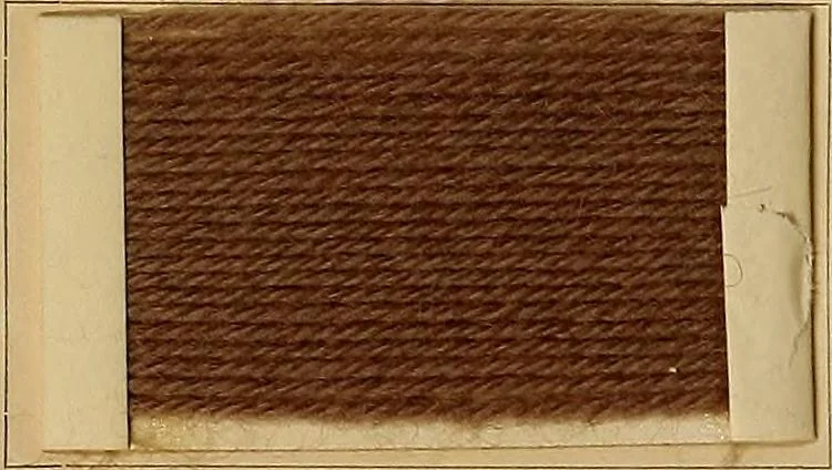 An illustration from The coal tar colours of Farbwerke vorm. Meister, Lucius & Brüning, Hoechst on Main, Germany, and their application in wool dyeing, 1910, leaf 63