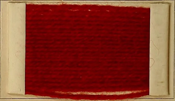 An illustration from The coal tar colours of Farbwerke vorm. Meister, Lucius & Brüning, Hoechst on Main, Germany, and their application in wool dyeing, 1910, leaf 65
