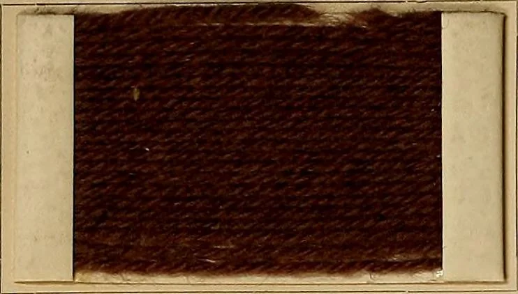 An illustration from The coal tar colours of Farbwerke vorm. Meister, Lucius & Brüning, Hoechst on Main, Germany, and their application in wool dyeing, 1910, leaf 67